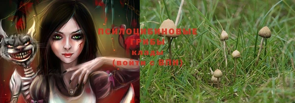 ешки Горнозаводск